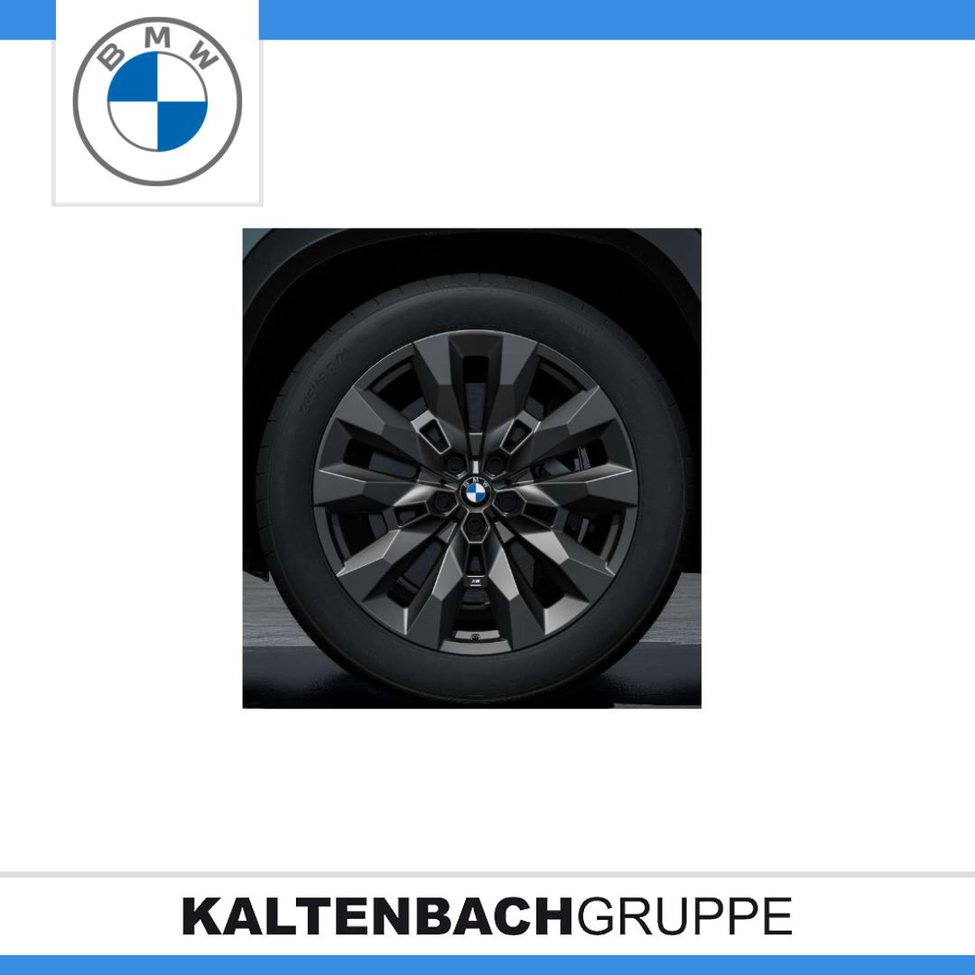 M Doppelspeiche 917M.jpg